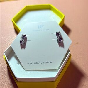 Elegant Silver Earrings